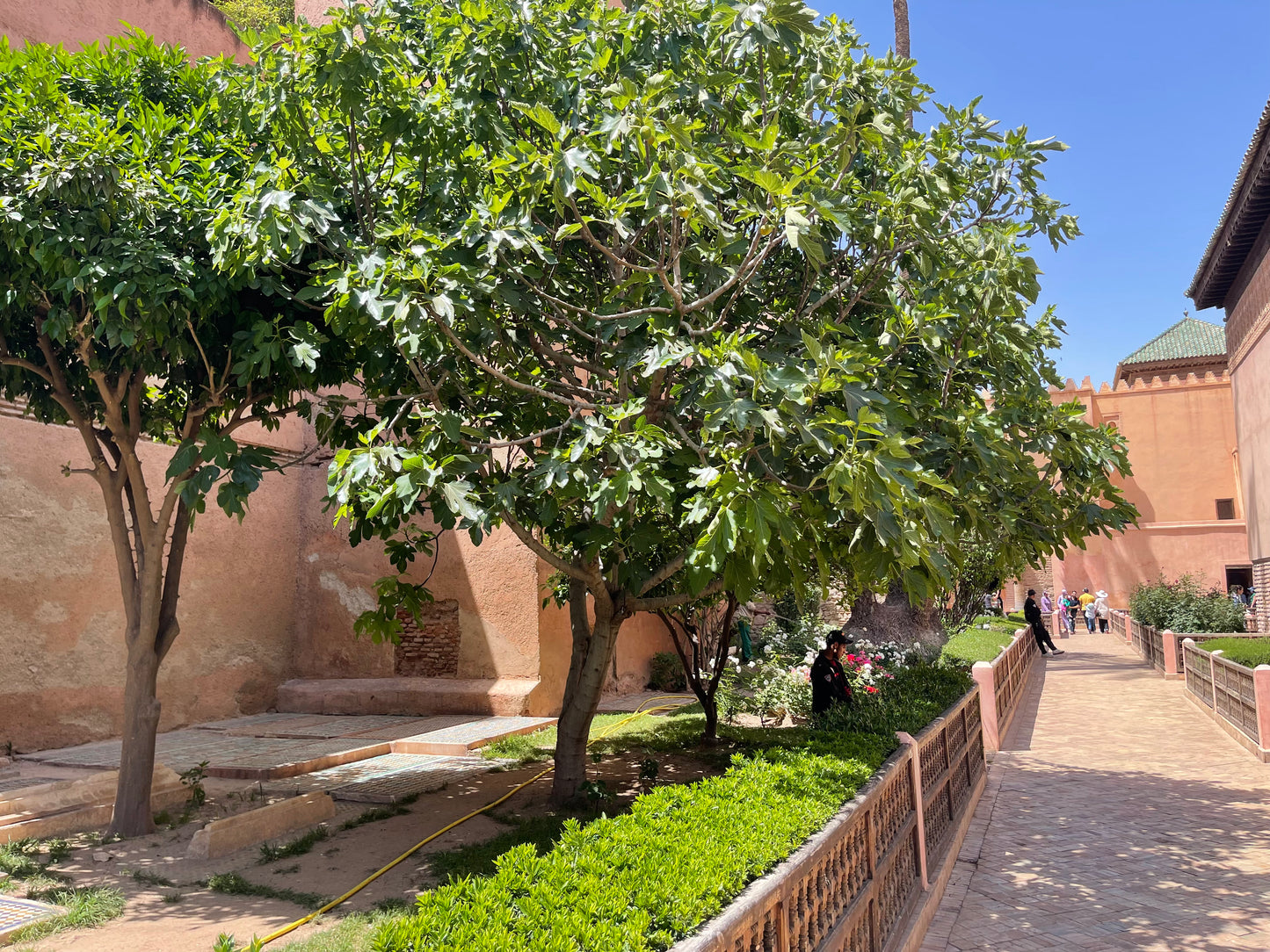 Marrakech Luxe Un voyage raffiné aux coeurs de la Médina